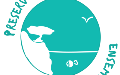alt="kayak-cassis-calanques-preservons-ensemble-ecoresponsabilite-ecocitoyennete"